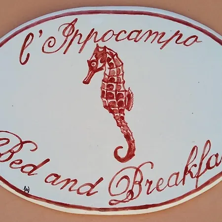 L'ippocampo Miagliano